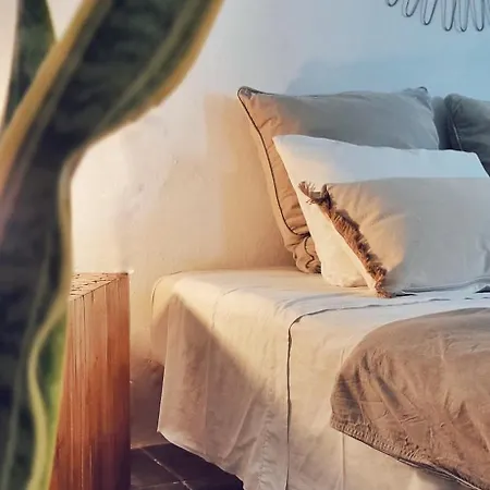La Mimosa تيغيسي