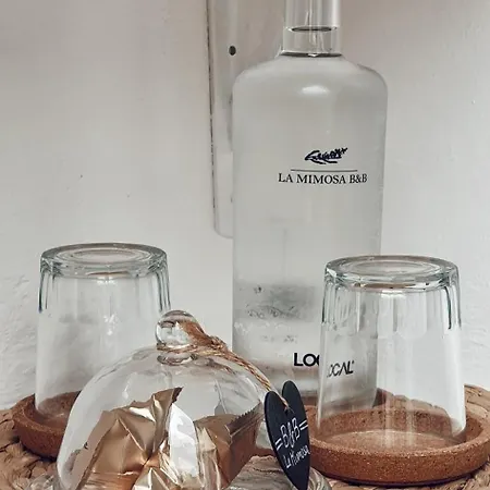La Mimosa Teguise