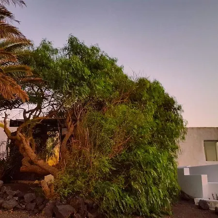 La Mimosa تيغيسي