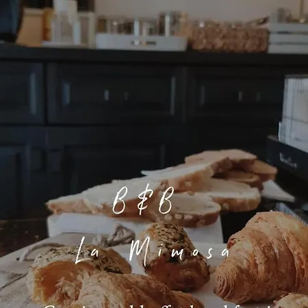 La Mimosa فندق مبيت وإفطار