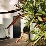 La Mimosa Teguise