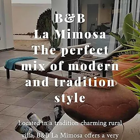 La Mimosa Nocleg ze śniadaniem Teguise (Lanzarote)