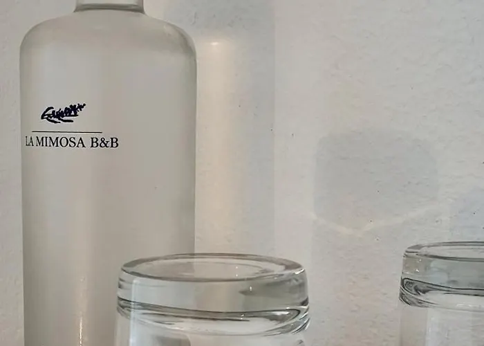 Alojamento de Acomodação e Pequeno-almoço La Mimosa