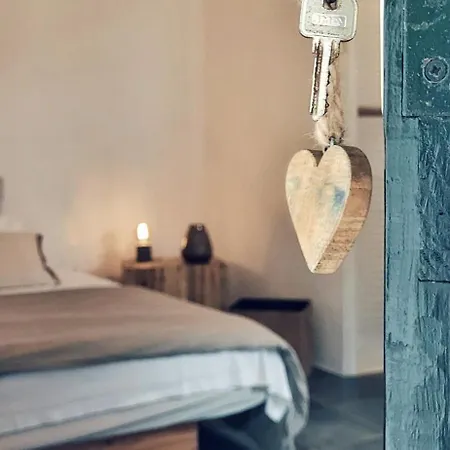 La Mimosa Teguise (Lanzarote)