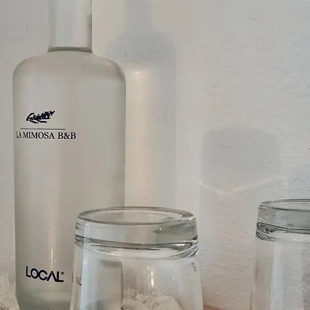 Bed & Breakfast La Mimosa