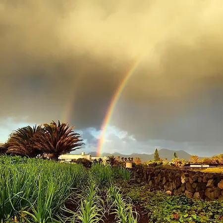 La Mimosa Bed & Breakfast