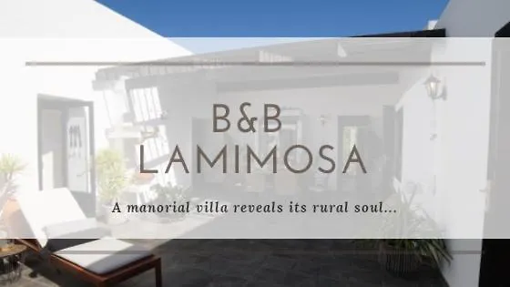 La Mimosa 4* Teguise (Lanzarote)